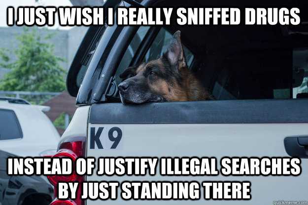 i just wish i really sniffed drugs instead of justify illegal searches by just standing there - i just wish i really sniffed drugs instead of justify illegal searches by just standing there  k9 unit