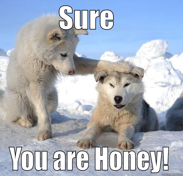 Yeah sure - SURE  YOU ARE HONEY! Caring Husky