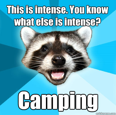 This is intense. You know what else is intense? Camping  Lame Pun Coon