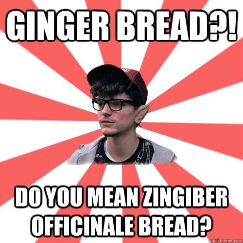 Ginger bread?! Do you mean Zingiber officinale bread?    - Ginger bread?! Do you mean Zingiber officinale bread?     Hipster Elf
