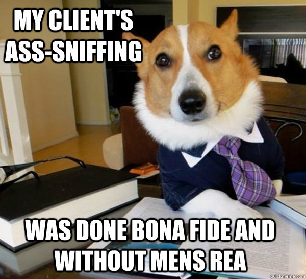 my client's ass-sniffing was done bona fide and without mens rea - my client's ass-sniffing was done bona fide and without mens rea  Lawyer Dog