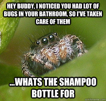 Hey buddy, I noticed you had lot of bugs in your bathroom, so I've taken care of them ...whats the shampoo bottle for  Misunderstood Spider