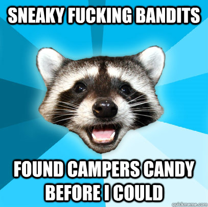 sneaky fucking bandits found campers candy before i could  Lame Pun Coon