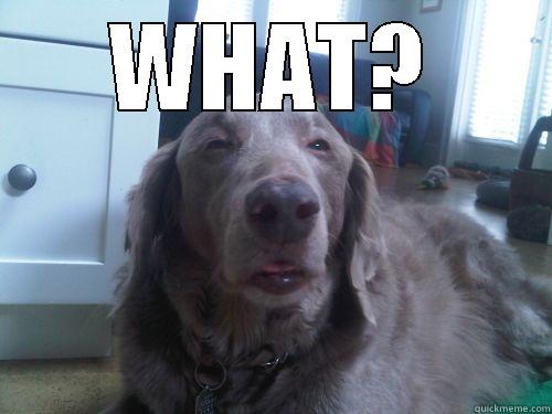 WHAT?  Condescending Wonka