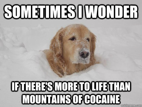 Sometimes I wonder if there's more to life than mountains of cocaine - Sometimes I wonder if there's more to life than mountains of cocaine  Misc
