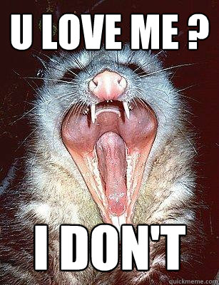 U LOVE ME ? I DON'T  The Angry Possum