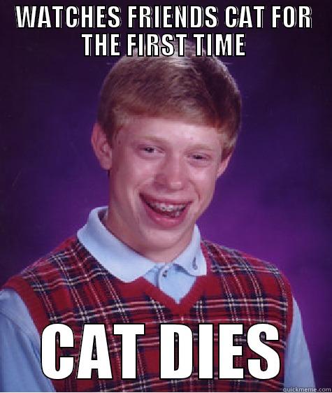WATCHES FRIENDS CAT FOR THE FIRST TIME CAT DIES Bad Luck Brian