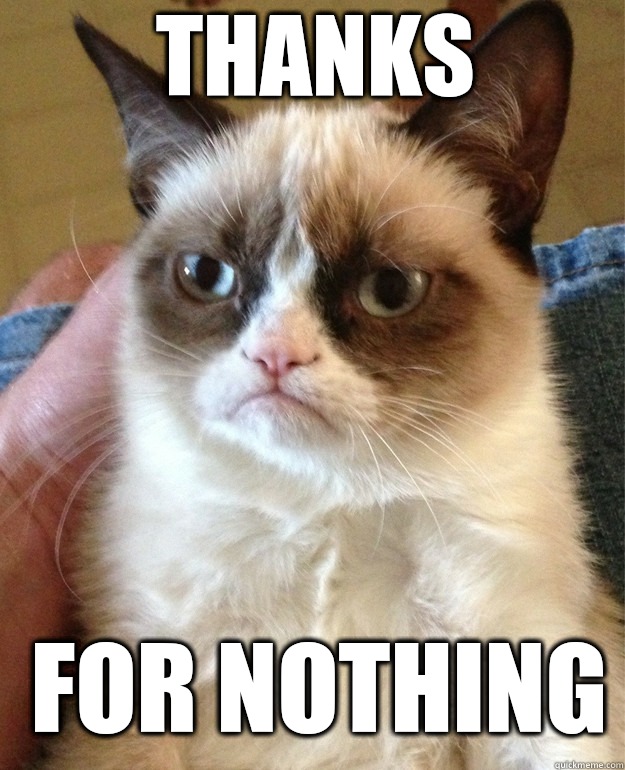 Thanks For nothing  Grumpy Cat