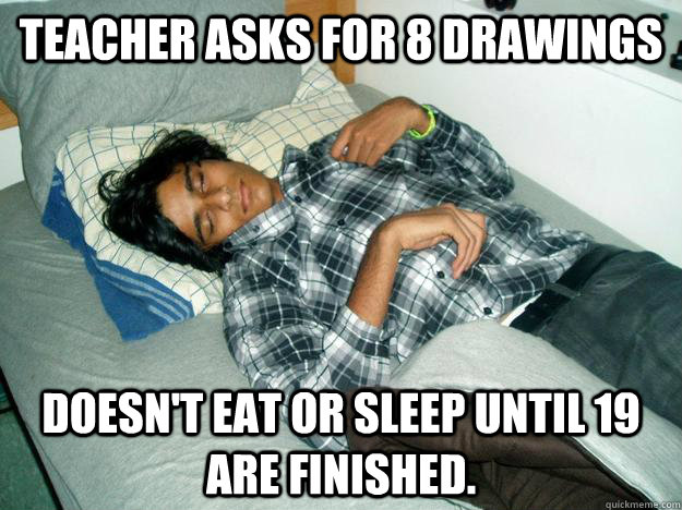 teacher asks for 8 drawings doesn't eat or sleep until 19 are finished.  Architecture Cat Keshav