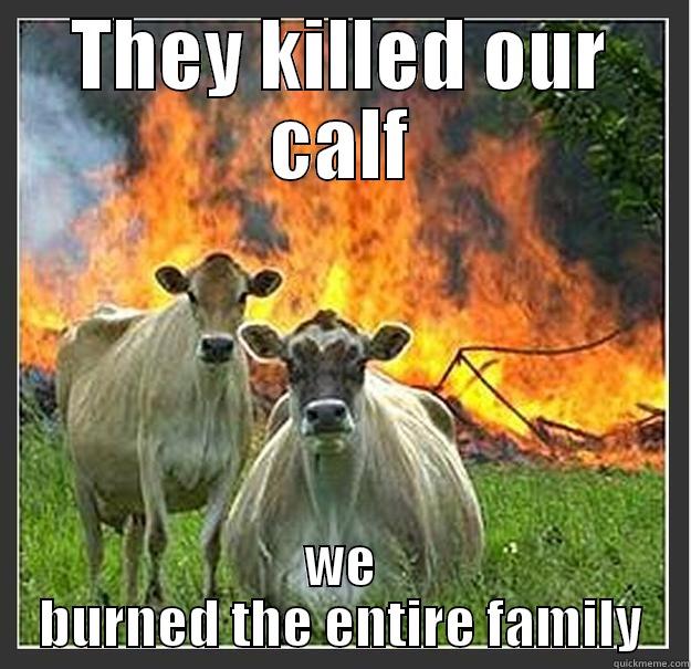 THEY KILLED OUR CALF WE BURNED THE ENTIRE FAMILY Evil cows
