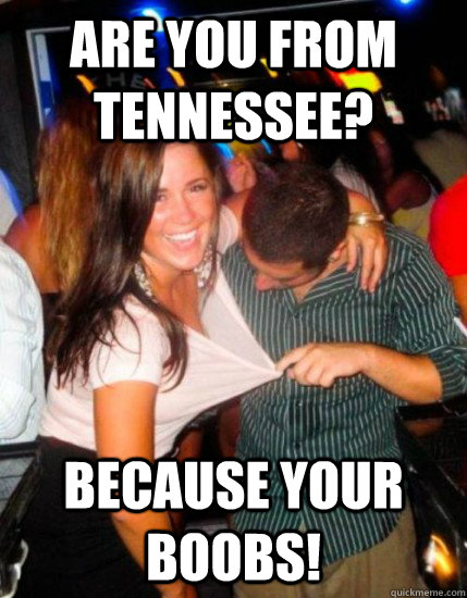 Are you from Tennessee? Because your boobs!  