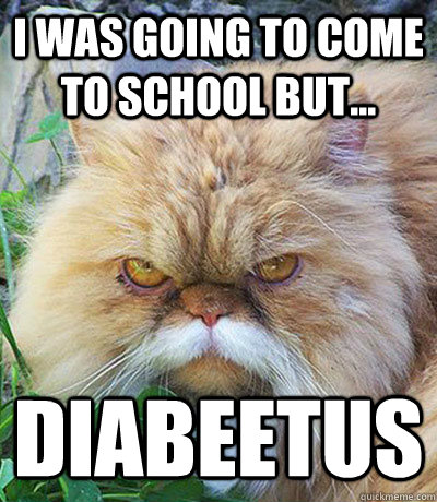 I was going to come to school but... Diabeetus  Diabeetus Cat