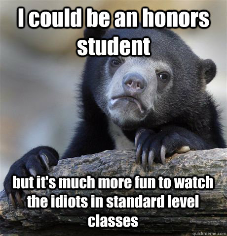 I could be an honors student but it's much more fun to watch the idiots in standard level classes - I could be an honors student but it's much more fun to watch the idiots in standard level classes  Confession Bear