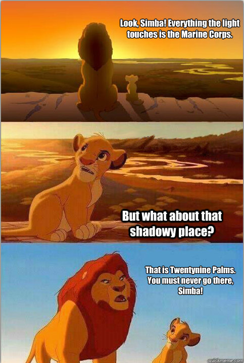 Look, Simba! Everything the light touches is the Marine Corps. But what about that shadowy place? That is Twentynine Palms. You must never go there, Simba!   Shadowy Place from Lion King
