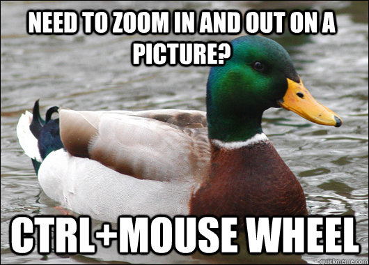Need to zoom in and out on a picture? ctrl+mouse wheel  Actual Advice Mallard