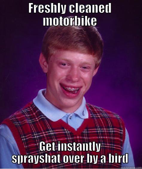 FRESHLY CLEANED MOTORBIKE GET INSTANTLY SPRAYSHAT OVER BY A BIRD Bad Luck Brian