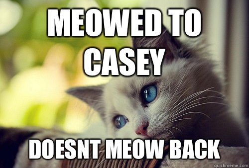 Meowed to Casey Doesnt meow back   First World Cat Problems