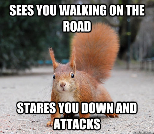 U mad, bro? - NeuroticAttention-Deficit Squirrel - quickmeme U mad, bro? - NeuroticAttention-Deficit Squirrel - quickmeme