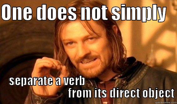 ONE DOES NOT SIMPLY    SEPARATE A VERB                                                                      FROM ITS DIRECT OBJECT One Does Not Simply