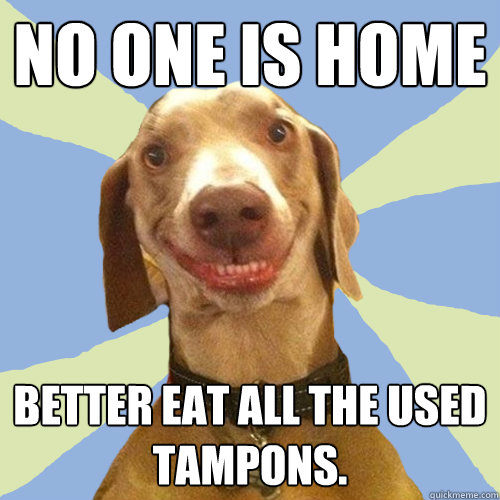 No one is home Better eat all the used tampons. - No one is home Better eat all the used tampons.  Disgusting Doggy
