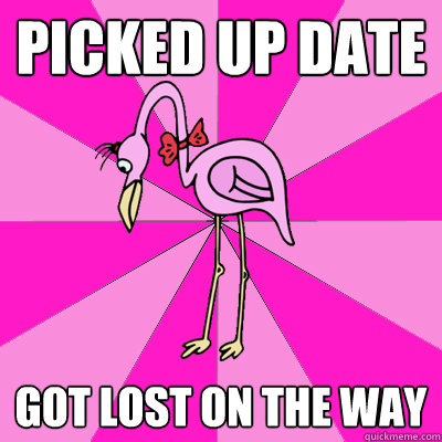 picked up date got lost on the way   First Date Flamingo
