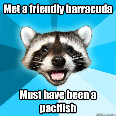 Met a friendly barracuda Must have been a pacifish  Lame Pun Coon