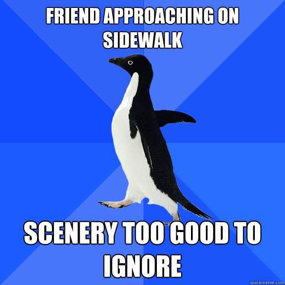 Friend approaching on sidewalk Scenery too good to ignore  Socially Awkward Penguin