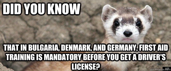 Did you know that in Bulgaria, Denmark, and Germany, first aid training is mandatory before you get a driver's license? - Did you know that in Bulgaria, Denmark, and Germany, first aid training is mandatory before you get a driver's license?  Fun-Fact-Ferret