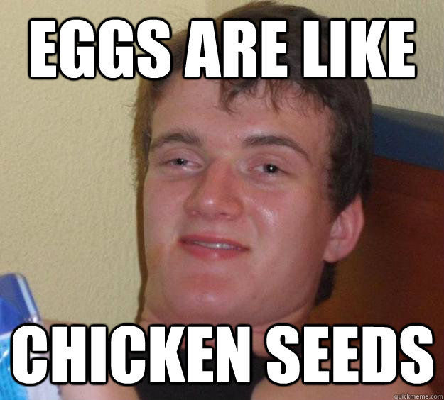 EGGS ARE LIKE CHICKEN SEEDS - EGGS ARE LIKE CHICKEN SEEDS  10 Guy