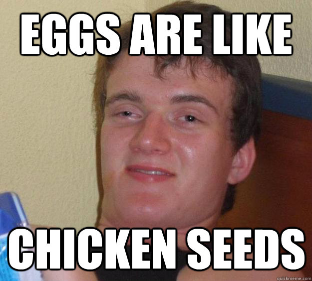 EGGS ARE LIKE CHICKEN SEEDS  10 Guy