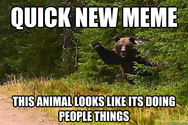 Quick New Meme this animal looks like its doing people things  