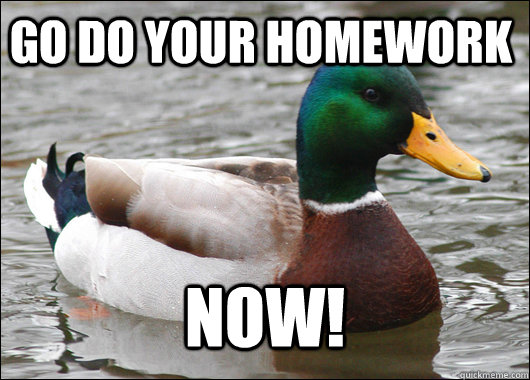 Go DO your HomeWork Now! - Go DO your HomeWork Now!  Actual Advice Mallard