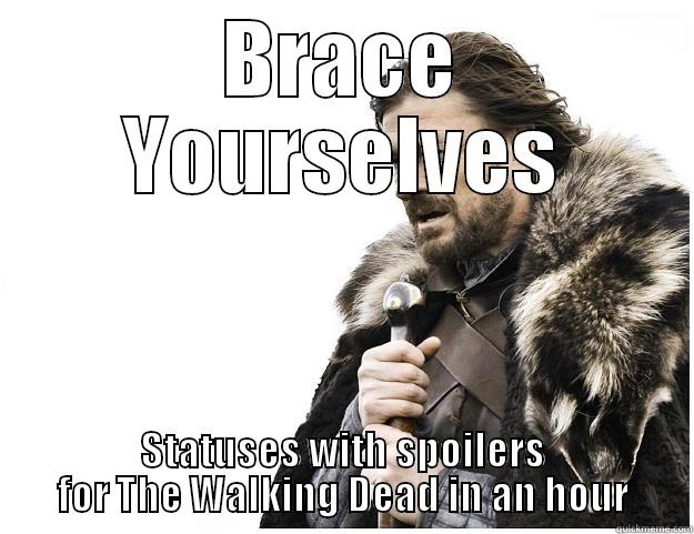 BRACE YOURSELVES STATUSES WITH SPOILERS FOR THE WALKING DEAD IN AN HOUR Imminent Ned