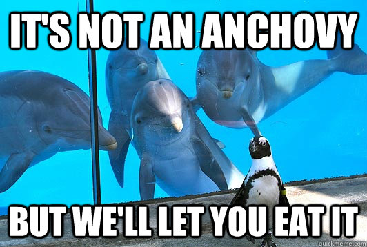 It's not an anchovy but we'll let you eat it  Sexual Innuendo Dolphins