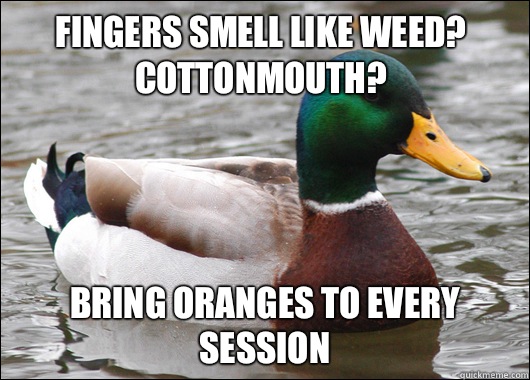 Fingers smell like weed? Cottonmouth? Bring oranges to every session  Actual Advice Mallard