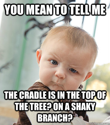 You mean to tell me The cradle is in the top of the tree? On a shaky branch? - You mean to tell me The cradle is in the top of the tree? On a shaky branch?  skeptical baby