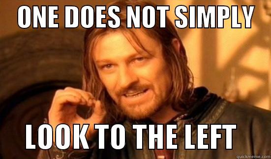    ONE DOES NOT SIMPLY         LOOK TO THE LEFT      Boromir