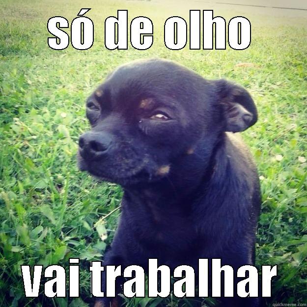 vai trabalhar - SÓ DE OLHO VAI TRABALHAR Skeptical Dog