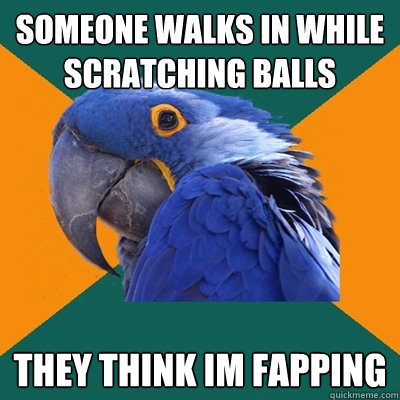 someone walks in while scratching balls they think im fapping  Paranoid Parrot