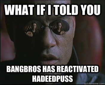 What if I told you bangbros has reactivated hadeedpuss  Morpheus SC