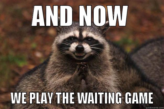 WAITING GAME - AND NOW  WE PLAY THE WAITING GAME Evil Plotting Raccoon