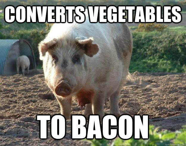 converts vegetables to bacon - converts vegetables to bacon  Misc