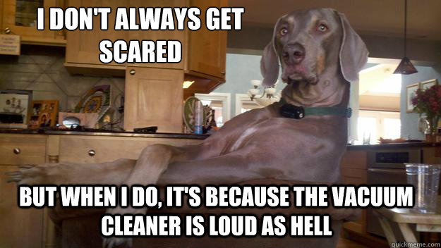 I don't always get 
scared But when I do, It's because the vacuum cleaner is loud as hell - I don't always get 
scared But when I do, It's because the vacuum cleaner is loud as hell  The Most Interesting Dog in the World