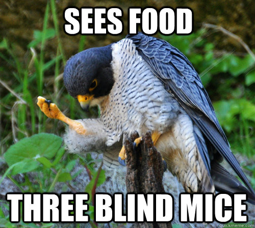 Sees Food  Three Blind Mice  Success Falcon