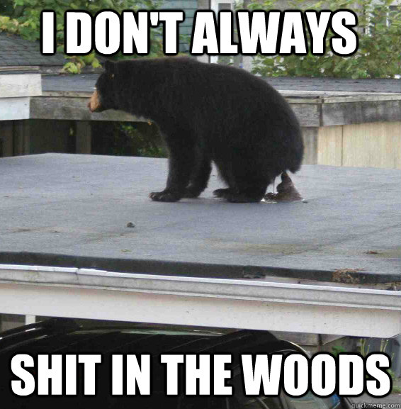 i don't always shit in the woods - i don't always shit in the woods  The Most Interesting Confession Bear in the World