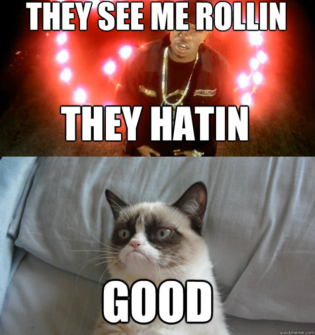 They See me Rollin GOOD They Hatin - They See me Rollin GOOD They Hatin  Rollin Grumpy Cat