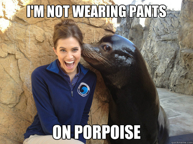 i'm not wearing pants on porpoise  Crazy Secret