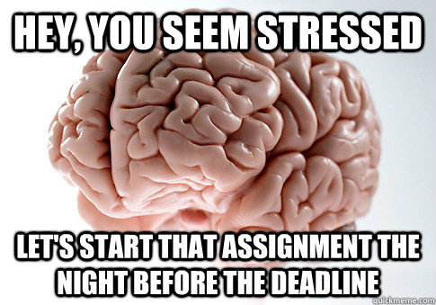 hey, you seem stressed let's start that assignment the night before the deadline - hey, you seem stressed let's start that assignment the night before the deadline  Scumbag Brain