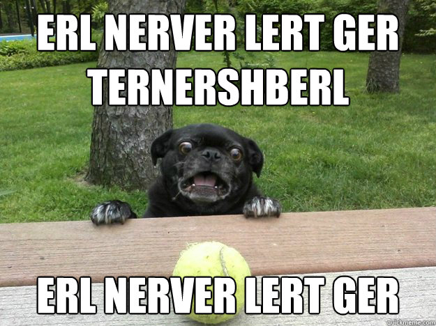 erl nerver lert ger Ternershberl erl nerver lert ger - erl nerver lert ger Ternershberl erl nerver lert ger  Berks Dog