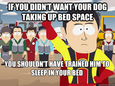 If you didn't want your dog taking up bed space You shouldn't have trained him to sleep in your bed - If you didn't want your dog taking up bed space You shouldn't have trained him to sleep in your bed  Captain Hindsight